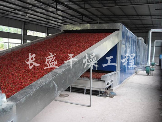 DWC系列脱水蔬菜带式干燥机