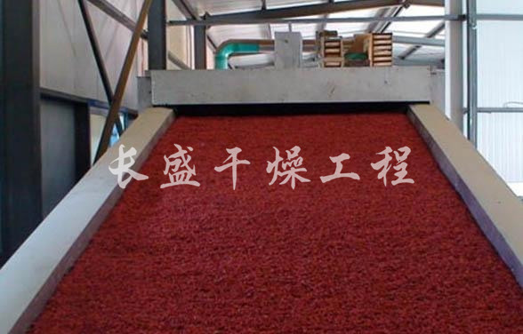 DWC系列脱水蔬菜带式干燥机