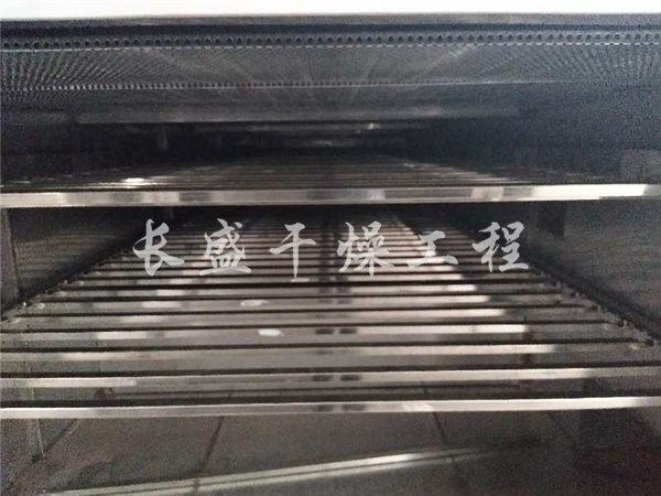 DW单层带式干燥机